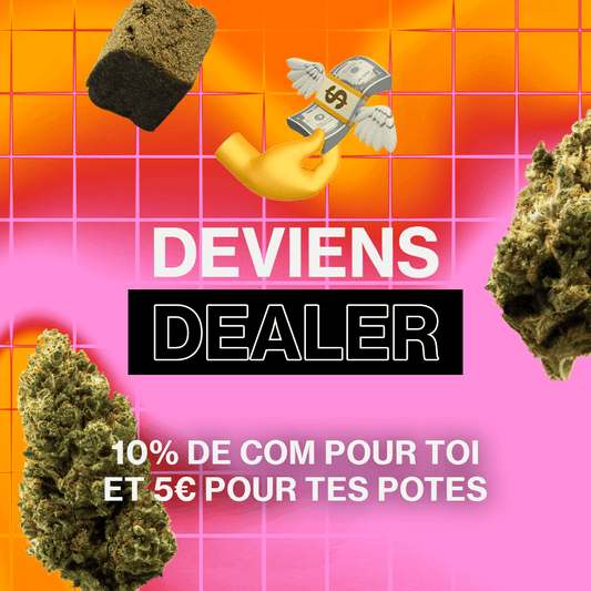 Envie de te faire un max d'oseille grâce au CBD ?