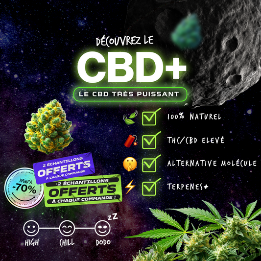 Une Révolution : LE CBD+ 💥