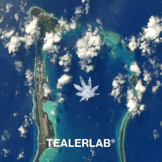 tealerlab qui sommes nous ?
