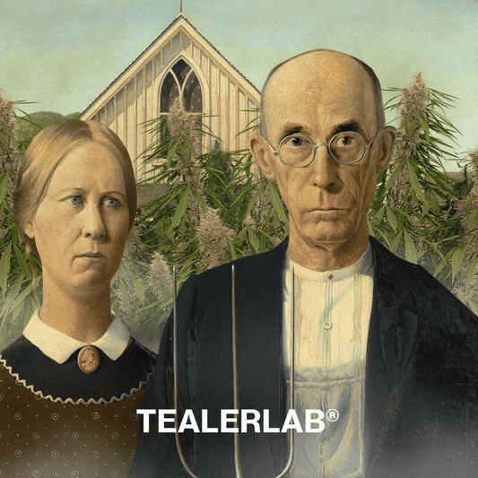 Le CBD: 10 000 ans d'histoire 🍁 par Tealerlab