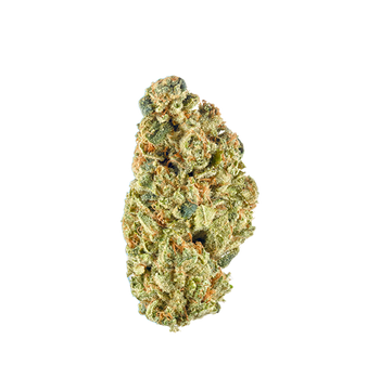 Green Haze - THM flower 🪴