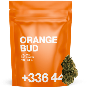 Orange Bud - CBD Flower