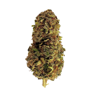 Dark Labubub CBD