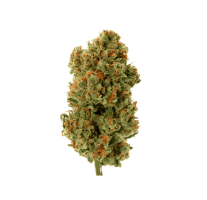 AK-47 - Fleur CBD | Tealerlab — vue alternative