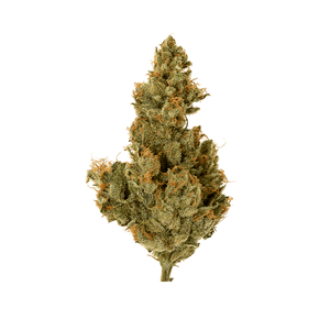 Buddha Fruit - Fleur CBD | Tealerlab — vue alternative