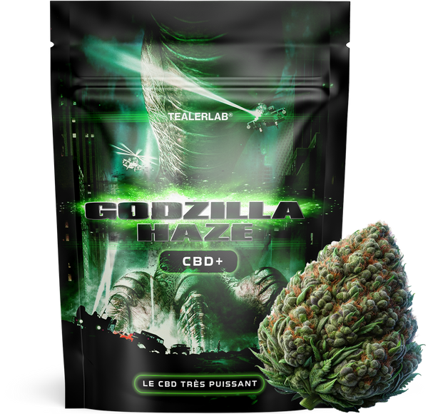 Godzilla Kush - CBD+ 🦖