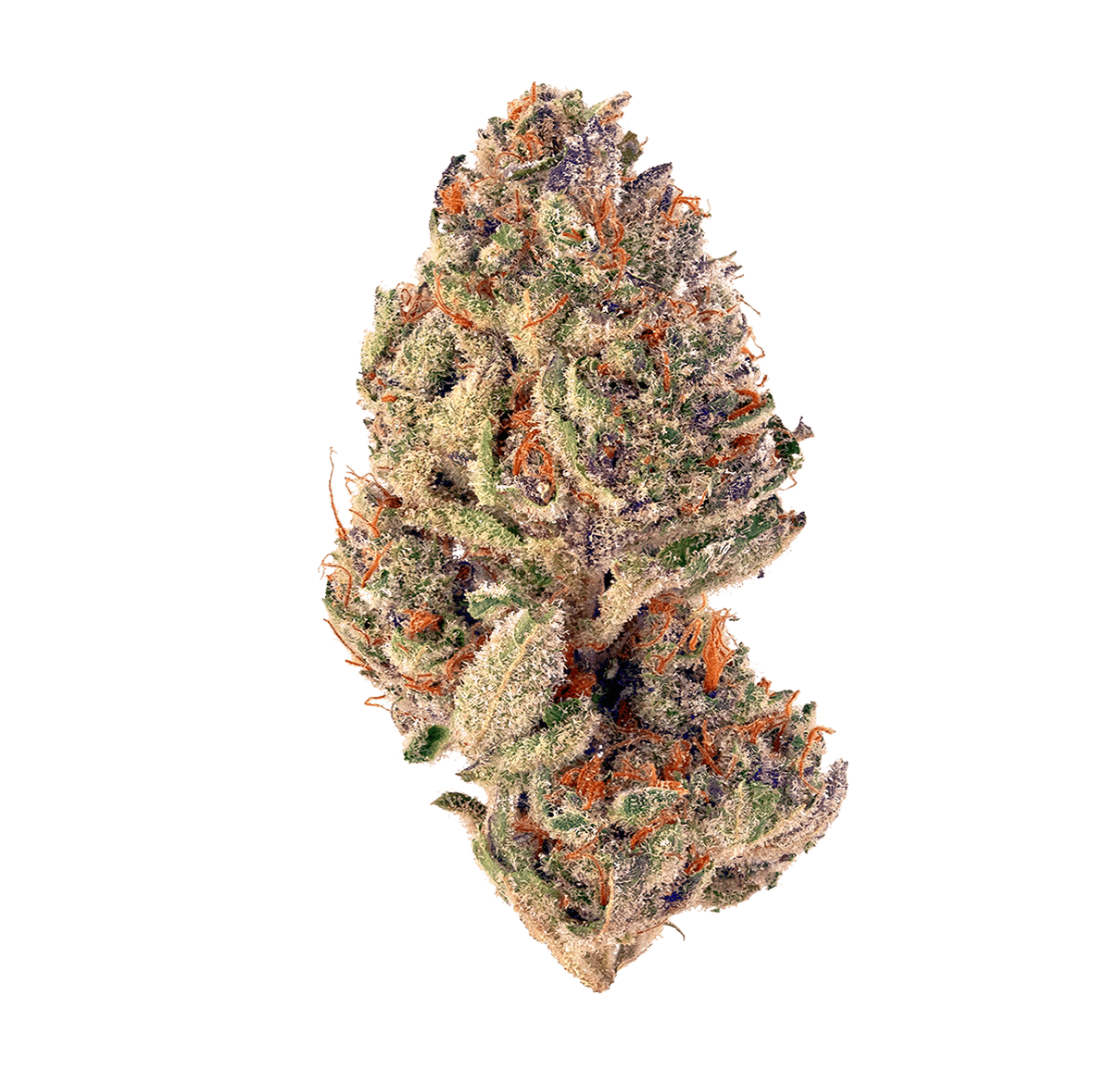Lover Kush - CBD+ - Lover Kush - CBD+ - Lover Kush - CBD+ - Lover Kush 💝