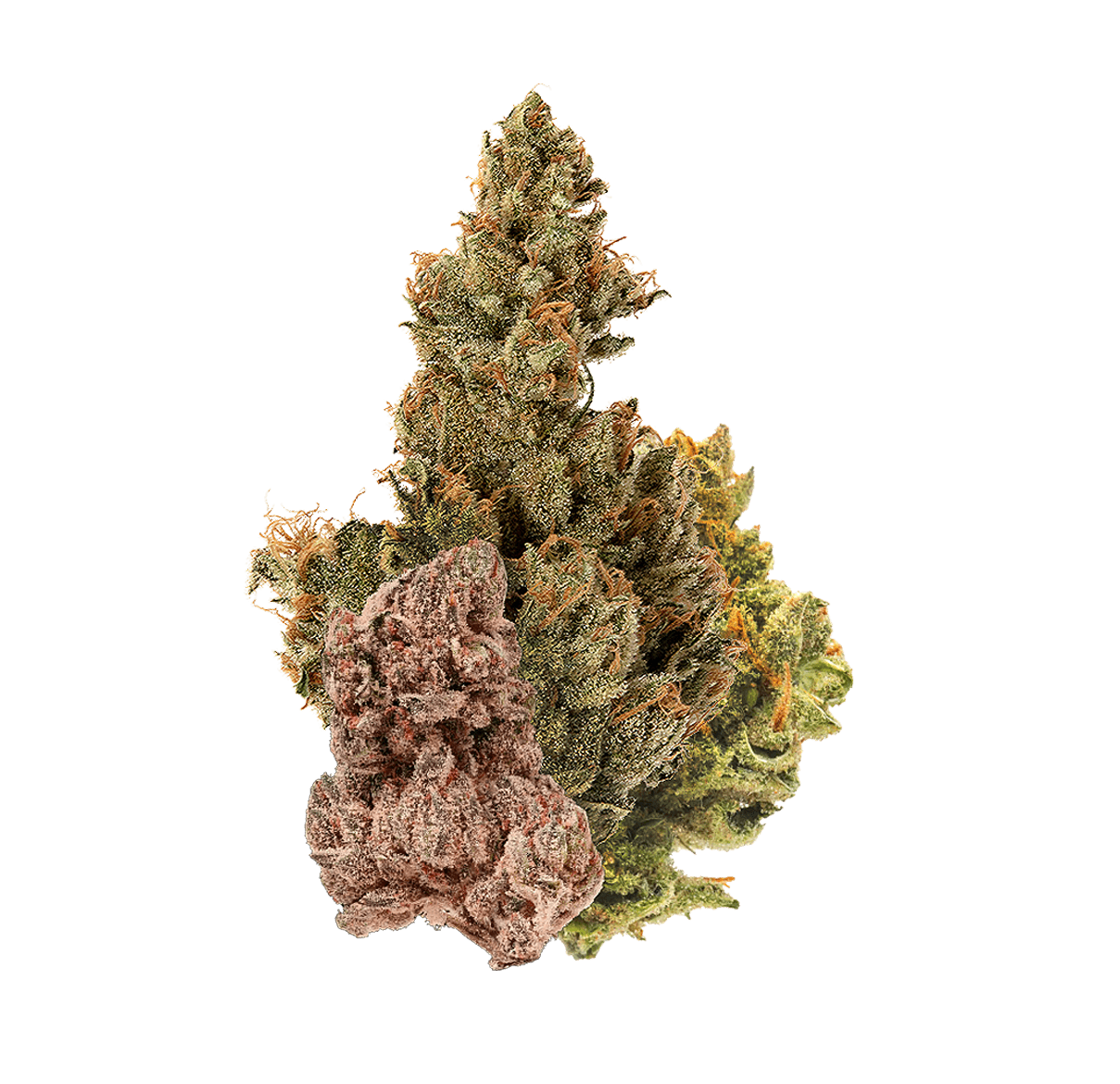 Mix Buds Greenhouse - Fleur CBD | Tealerlab