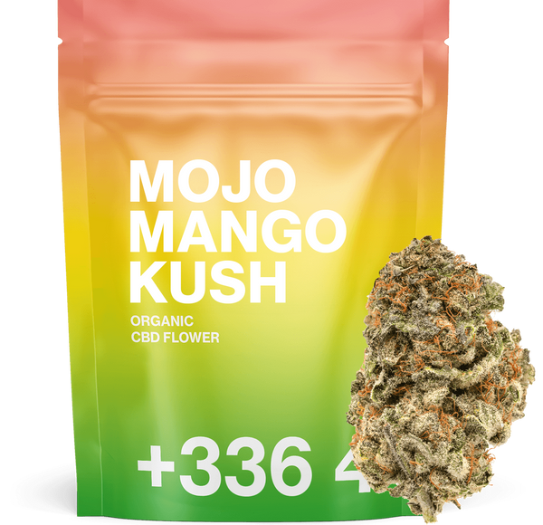 Mojo Mango Kush - Fleur CBD 🥭