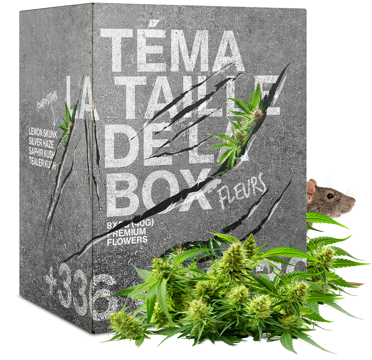 BOX DU RAT 20G CBD FLOWERS 🐭