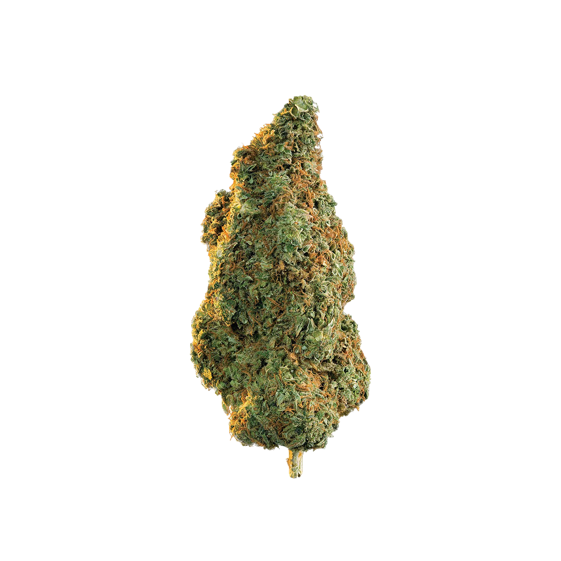 Martian Kush CBD+
