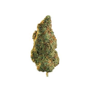 Martian Kush CBD+