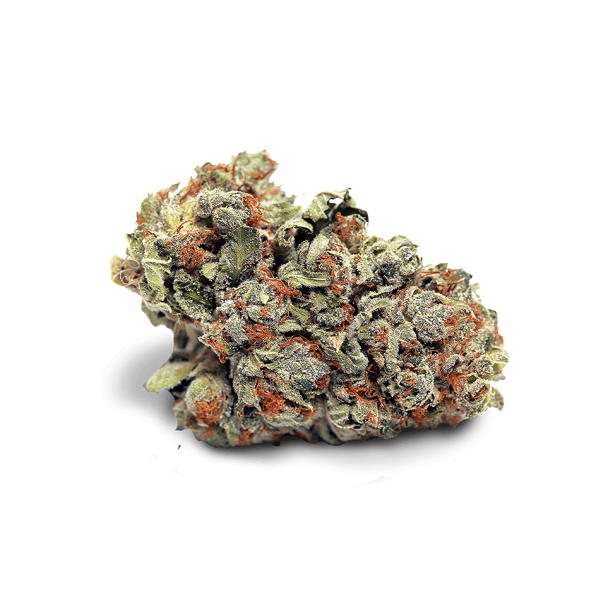 Saphir Kush - Fleur CBD | Tealerlab