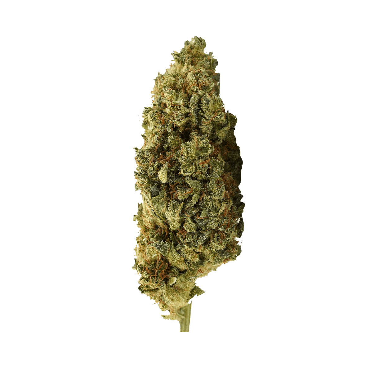 Sour Diesel - Fleur CBD | Tealerlab