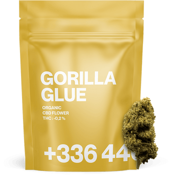 Gorilla Glue - Fleur CBD | Tealerlab