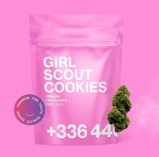 Le CBD puissant de la fleur Girl Scout Cookies