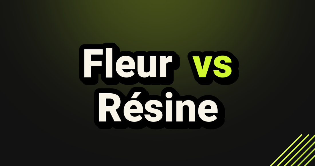 Fleur vs Résine - TealerLab