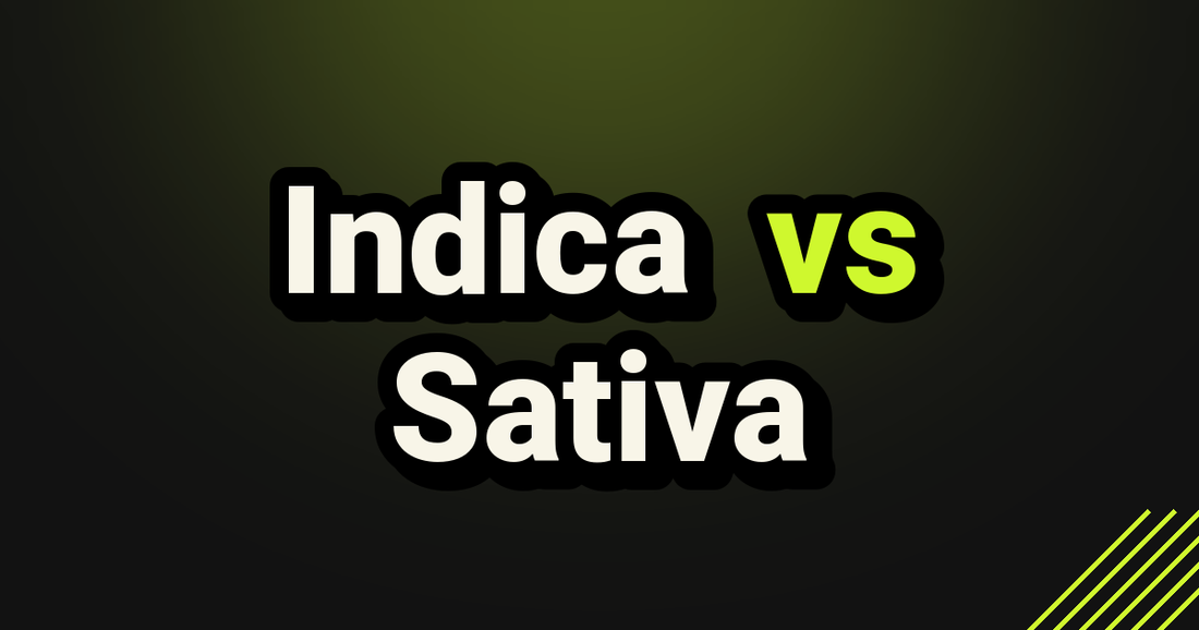 Indica vs Sativa - TealerLab