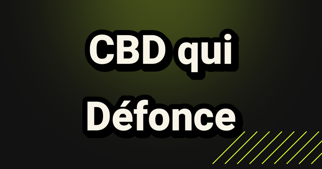 CBD qui Défonce