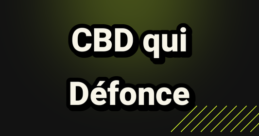 CBD qui Défonce