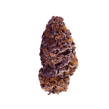 Purple Haze - Fleur CBD | Tealerlab