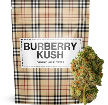 Burberry Kush - HHC Flower 👑