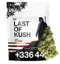 Last of Kush CBD+