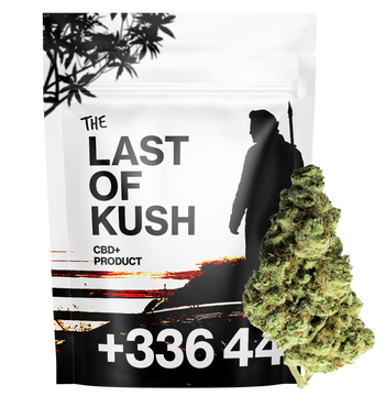 Last of Kush CBD+