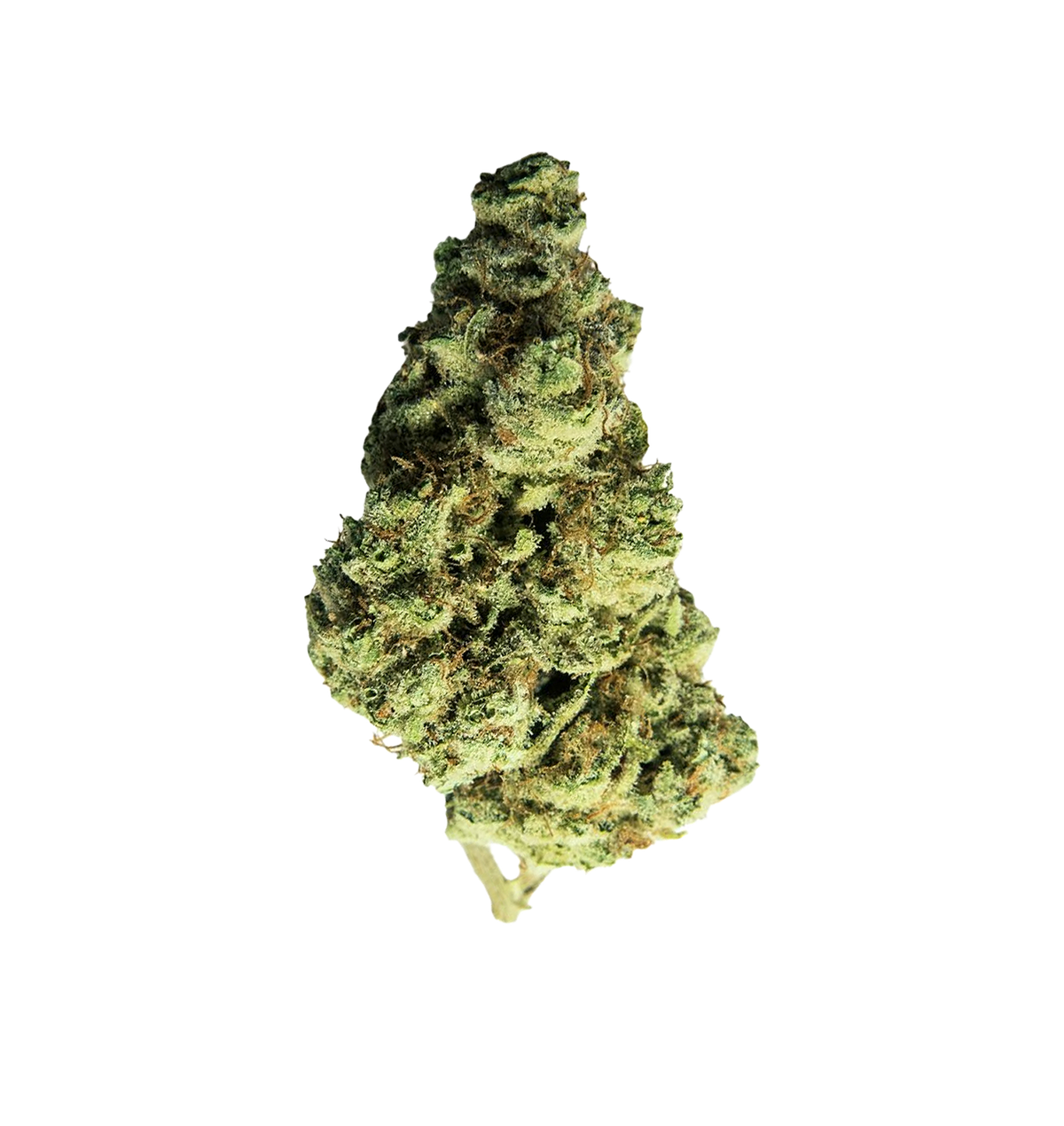 Last of Kush CBD+