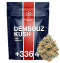 Dembouz Kush CBD+
