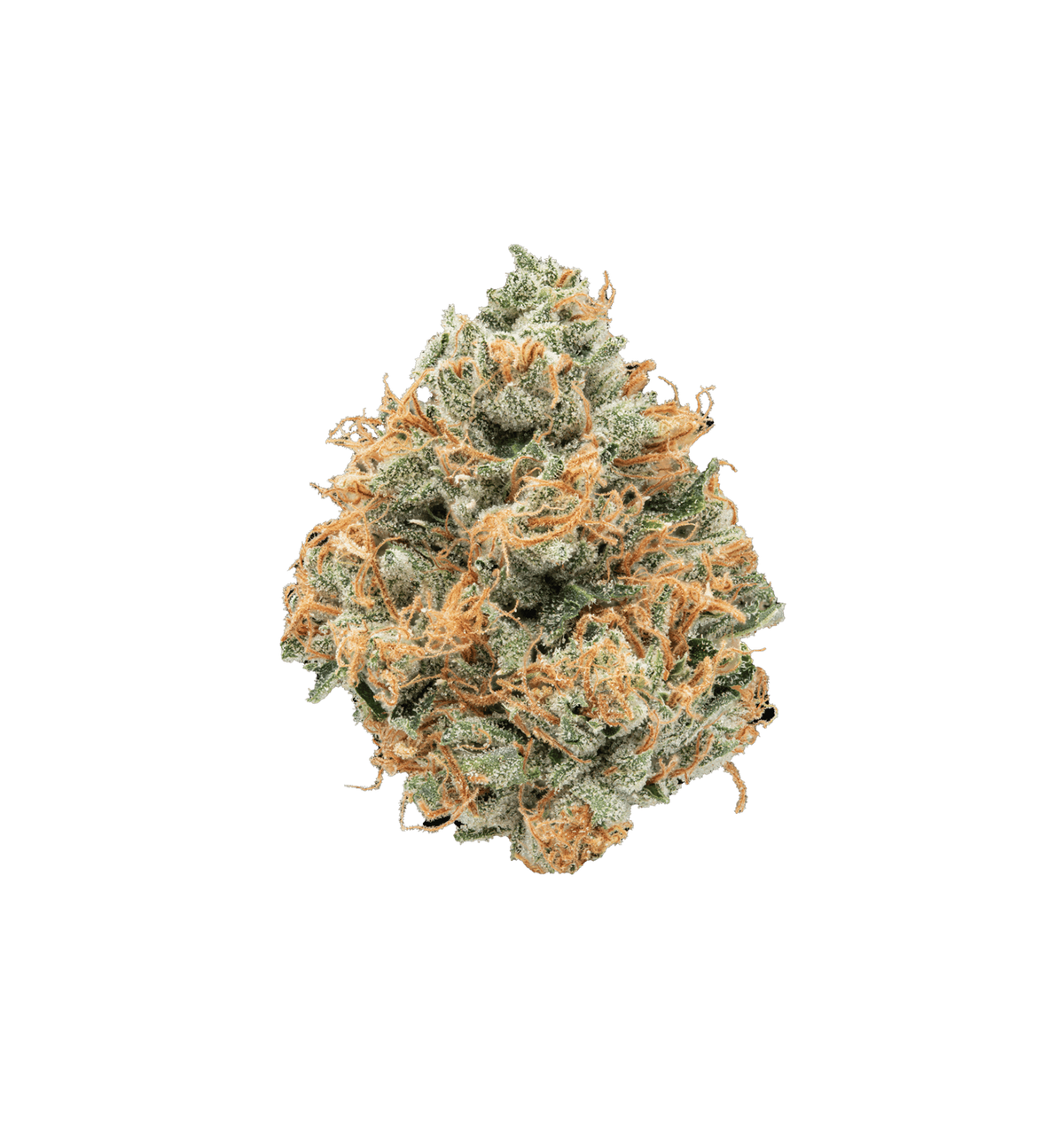 Dembouz Kush CBD+