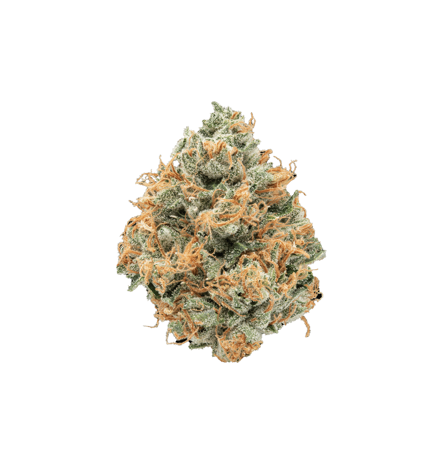 Dembouz Kush CBD+