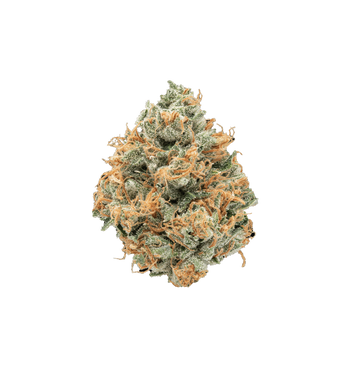 Dembouz Kush CBD+