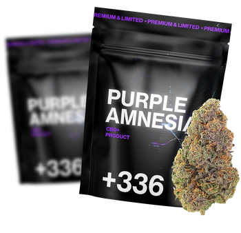 Purple Amnésia CBD