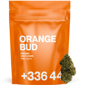 Orange Bud - Fleur CBD