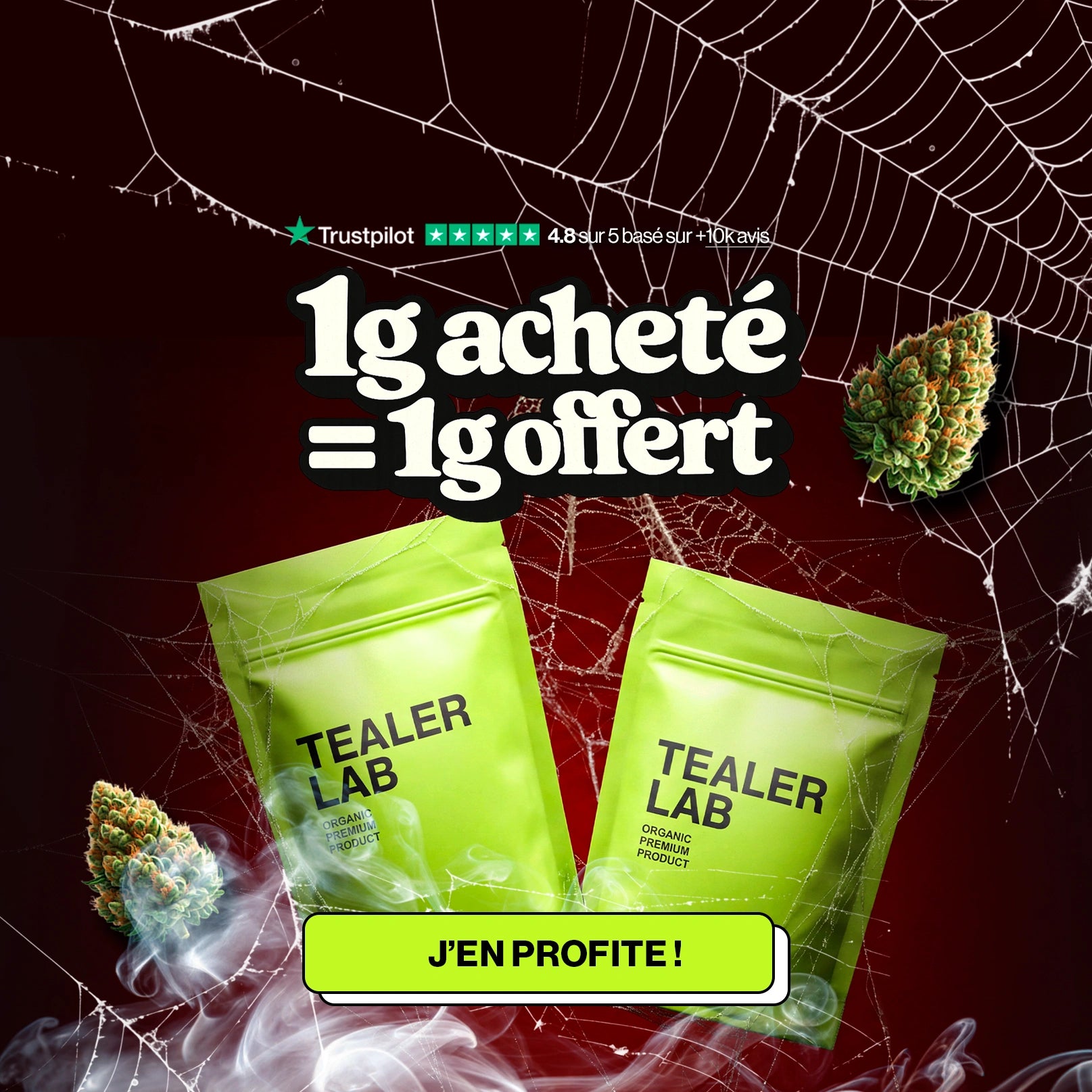 Talee Cbd TealerLab | Boutique CBD en ligne - Fleurs, Résines, Huiles... – TEALERLAB