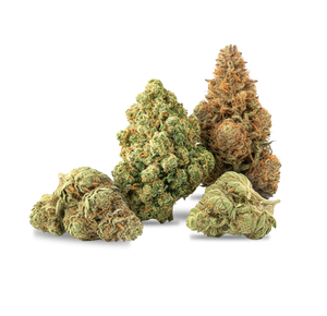 Kush Starter Pack — vue alternative