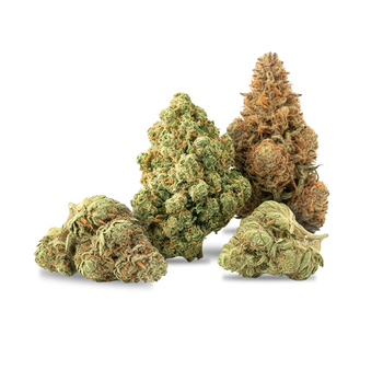 Kush Starter Pack