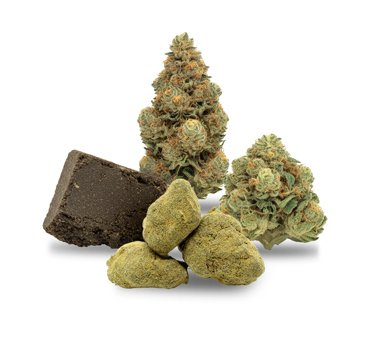 CBD+ Starter Pack