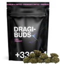Dragibud Mini Bud Indoor CBD+