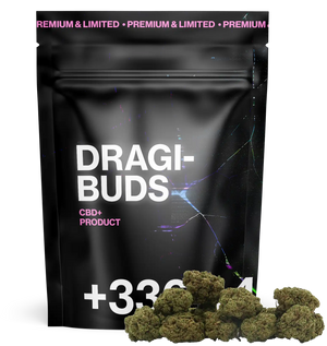 Dragibud Mini Bud Indoor CBD+ — vue alternative