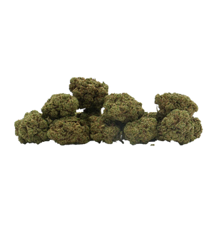Dragibud Mini Bud Indoor CBD+