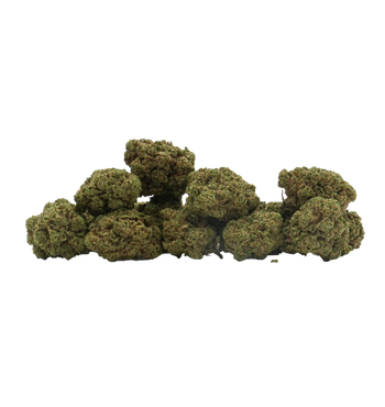 Dragibud Mini Bud Indoor CBD+