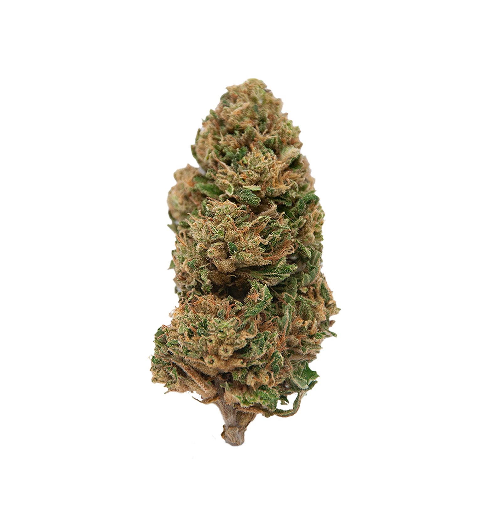 Apple Frost 🍏
