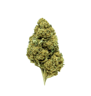 Cookie Kush CBD — vue alternative