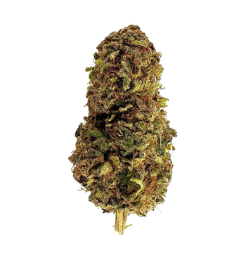 Dark Labubub CBD
