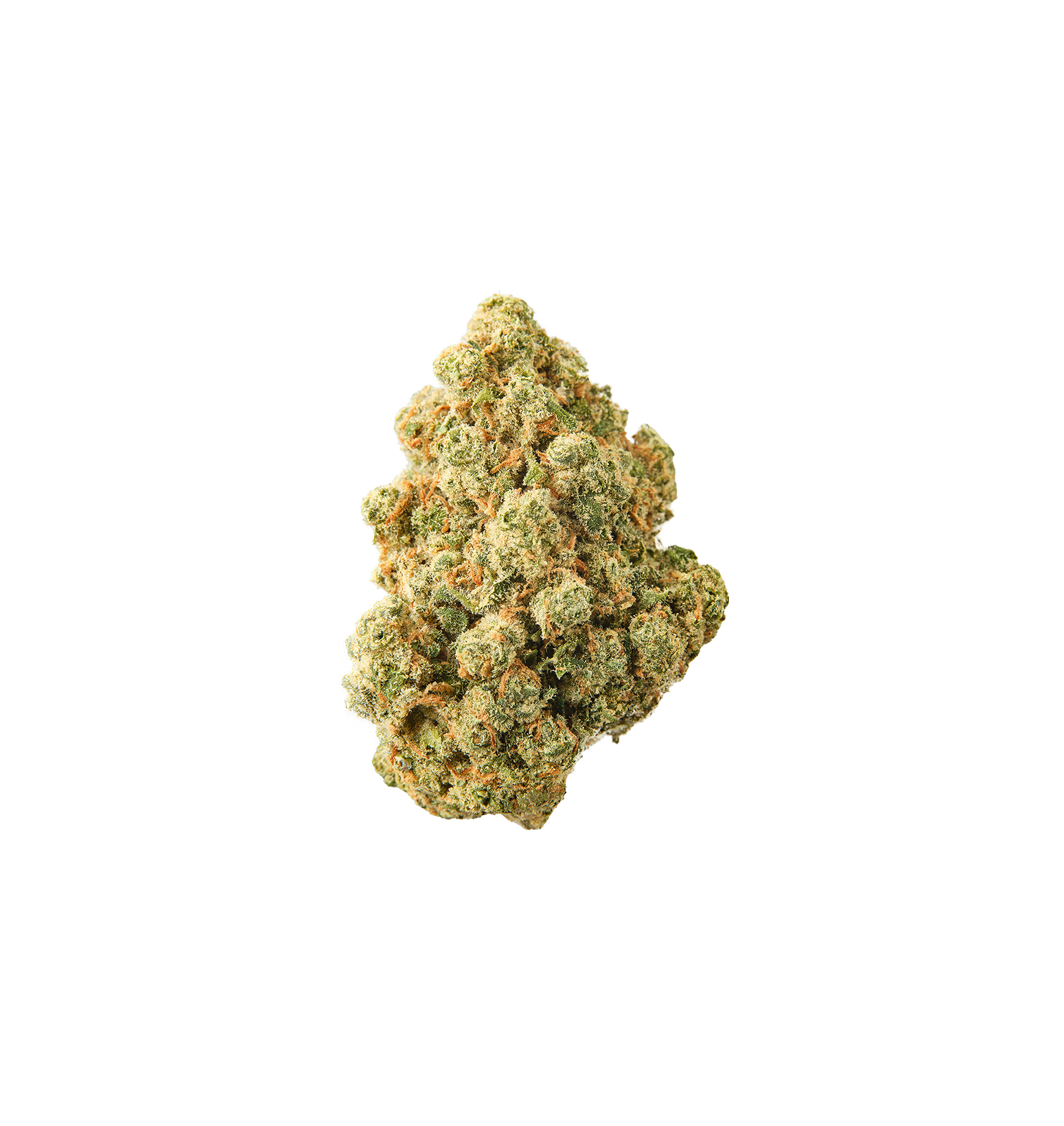 Jurassic Kush CBD+ 🦖