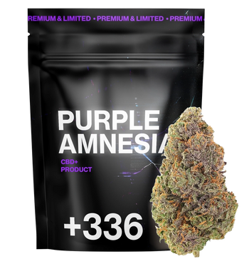 Purple Amnésia CBD