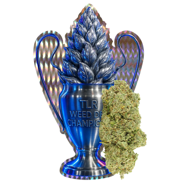 Champion Kush CBD+ 🏆