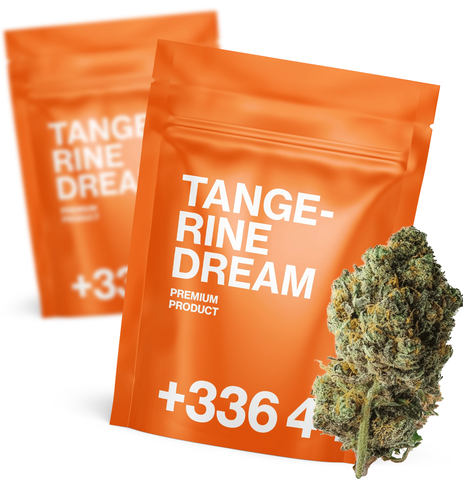 Tangerine Dream 🍊